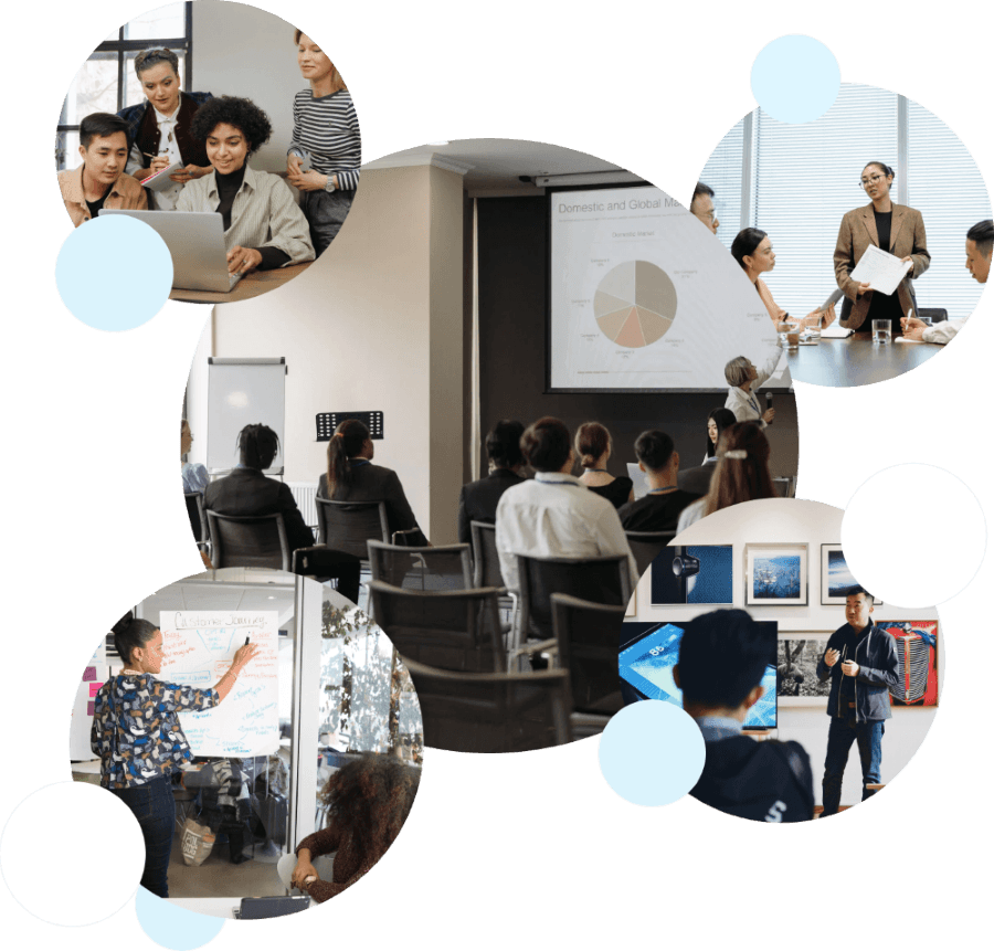 MySkill E-learning B2B